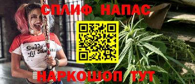индика Канаш