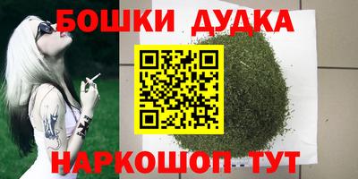 индика Канаш