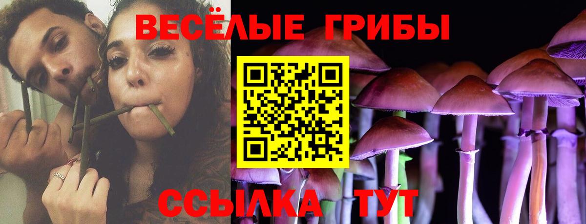 Галлюциногенные грибы Psilocybine cubensis  Псилоцибиновые грибы GOLDEN TEACHER  Пушкино  Вход с VPN 