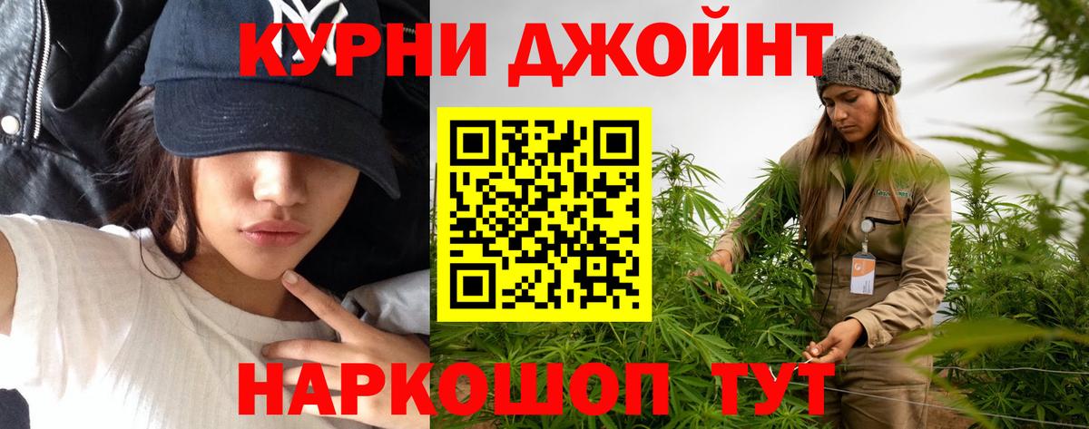 Канабис OG Kush Пушкино